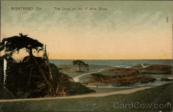 The Loop on the 17 Mile Drive Monterey California