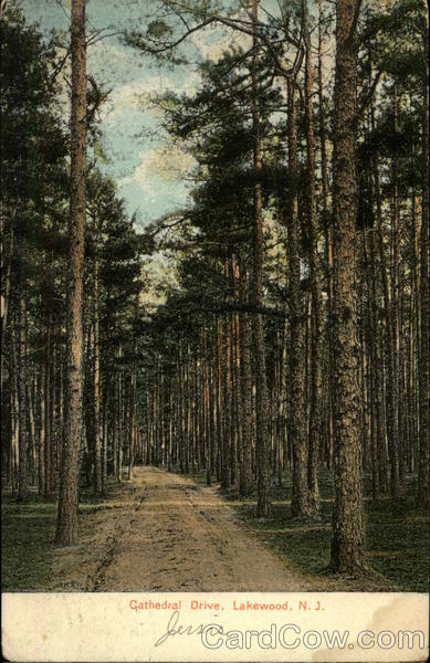 Cathedral Drive Lakewood New Jersey