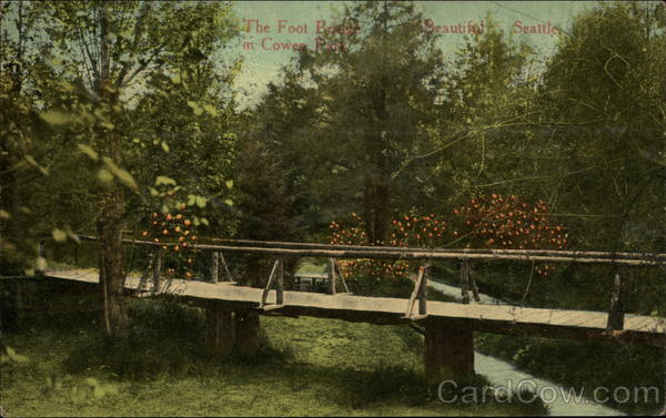 The Foot Bridge in Cowea Park Seattle Washington