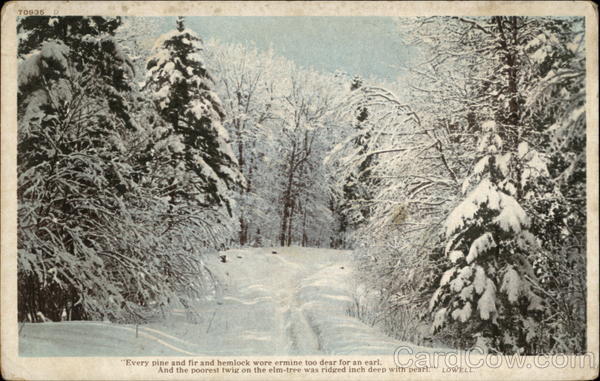 Snow-Covered Forest Seasons