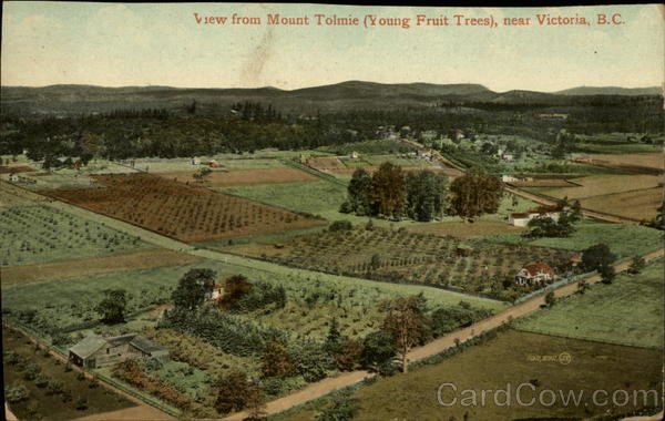 View from Mount Tolmie, Young Fruit Trees Victoria BC Canada