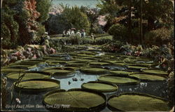 Stock #249929 Thumbnail