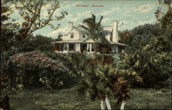 Norwood Postcard