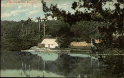 Light and Shadow Bermuda Postcard Postcard