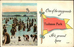 One of the amusements of Tashmoo Park Postcard