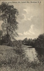 Scene Along Batavia Hill in Catskill Mountains Postcard