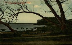 Great Pond from Randolph Street Postcard