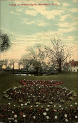 Stock #250521 Thumbnail