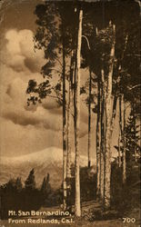 Mt. San Bernardino Redlands, CA Postcard Postcard