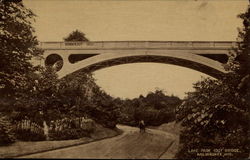 Lake Park Foot Bridge Postcard