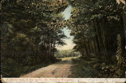 Shady Road in the Notch, Mt. Holyoke Mountain Northampton, MA Postcard Postcard