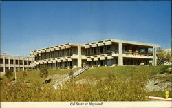 Cal State at Hayward Postcard