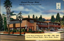 Sunset-Orange Motel Postcard
