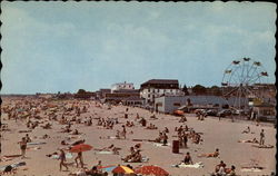 Sandy beach Postcard