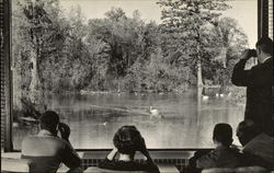 Research Center for the Laboratory for Ornithology, Cornell University Postcard