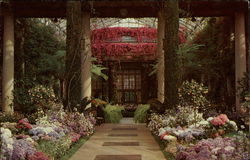 Longwood Gardens Kennett Square, PA Postcard Postcard