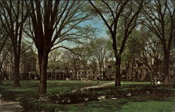 Cook Law Quadrangle, The University of Michigan Ann Arbor, MI Postcard Postcard