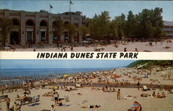 Indiana Dunes State Park Chesterton, IN Postcard Postcard