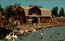 Stock #251795 Thumbnail