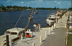 Yacht Basin Florida Postcard Postcard