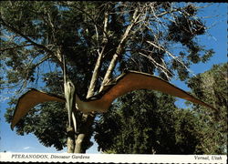 Pteradnodon, Dinosaur Gardens Vernal Utah