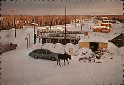 Country Store with Moose in front Glennallen Alaska