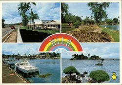 The City of Rainbows Hilo, HI Postcard Postcard