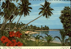 Lefaga Village - Western Samoa Postcard
