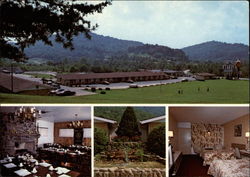 Quality Inn and Restaurant Postcard