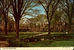 Cook Law Quadrangle, University of Michigan Postcard