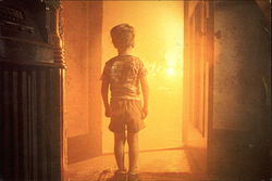 Stock #252657 Thumbnail