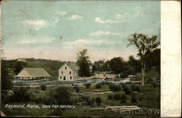 State Fish Hatchery Raymond Maine