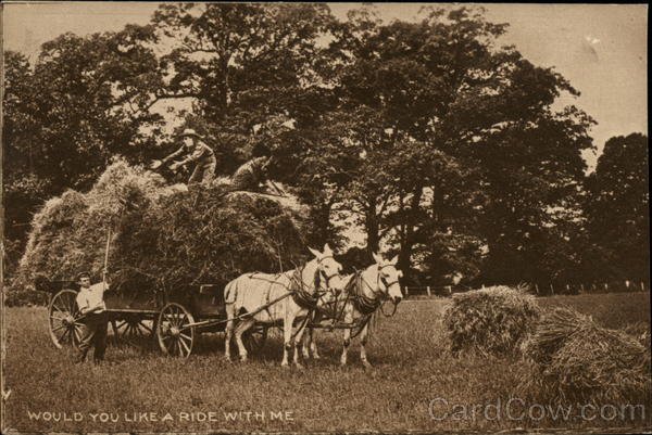 Men Loading Hay on a Wagon Farming
