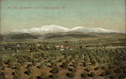 Mt. San Bernardino and Orange Groves Postcard