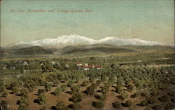 Mt. San Bernardino and Orange Groves California Postcard Postcard