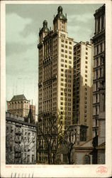 Park Row Building, height 383 feet New York, NY Postcard Postcard
