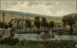 Bridge across the Susquehanna Wells Bridge, NY Postcard Postcard