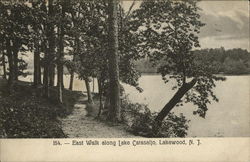 East walk along Lake Carasaljo Postcard