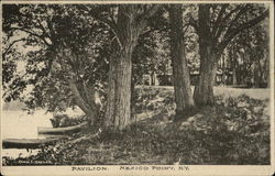 Pavilion, Mexico Point Postcard