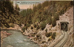 Tunnel in Cow Creek Canyon Oregon Postcard Postcard