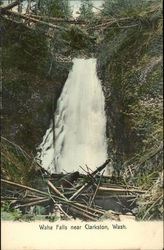 Waha Falls Near Clarkston Postcard