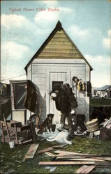 Typical Miners Cabin in Alaska Postcard