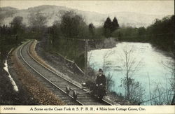 A scene on the Coast Fork & S.P.R.R Cottage Grove, OR Postcard Postcard