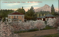 A Home in Hood River Valley, Oregon, Mt. Hood in the distance Postcard