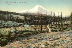 Mt. Hoood, 11,225 Ft. High Postcard