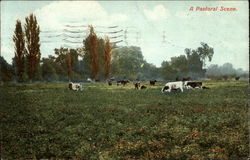 Election Advertising for Shortie Garnett Postcard