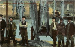 Sturgeon caught in the Columbia River Oregon Fishing Postcard Postcard