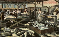 Interior Salmon Cannery Postcard