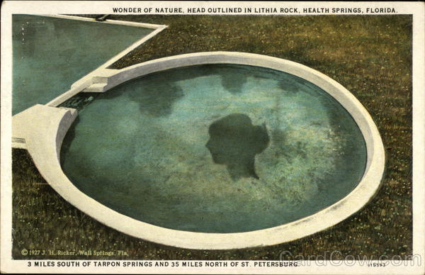 Wonder of Nature, Head Outlined in Lithia Rock Health Springs Florida