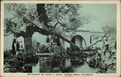 Estanque de Agua y Casa, Hotel Agua Cliente Postcard
